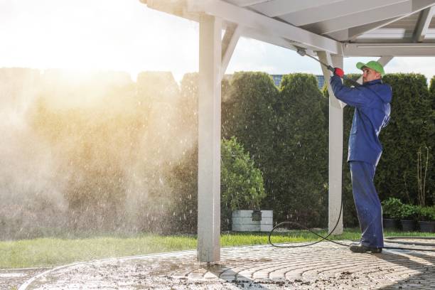 Best Boat and Dock Cleaning  in Avilla, AR